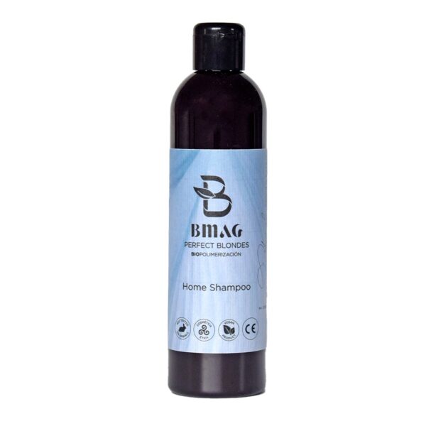 Home Shampoo Perfect Blondes